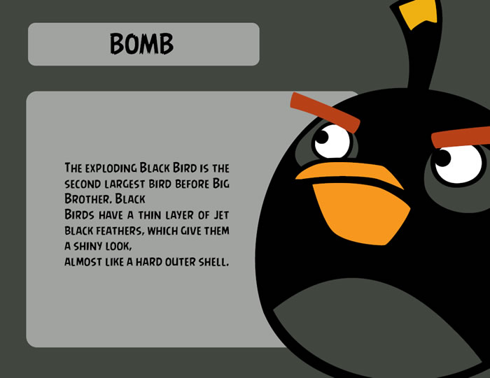 Black Bird Character