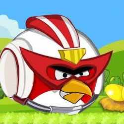 Angry Birds Protect Home